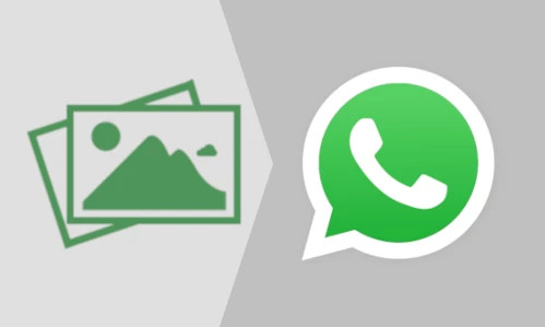How to enable sending of high quality images on WhatsApp