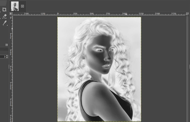 A color inverted image layer in GIMP