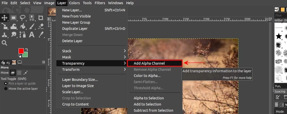 Adding an alpha channel to an image on GIMP