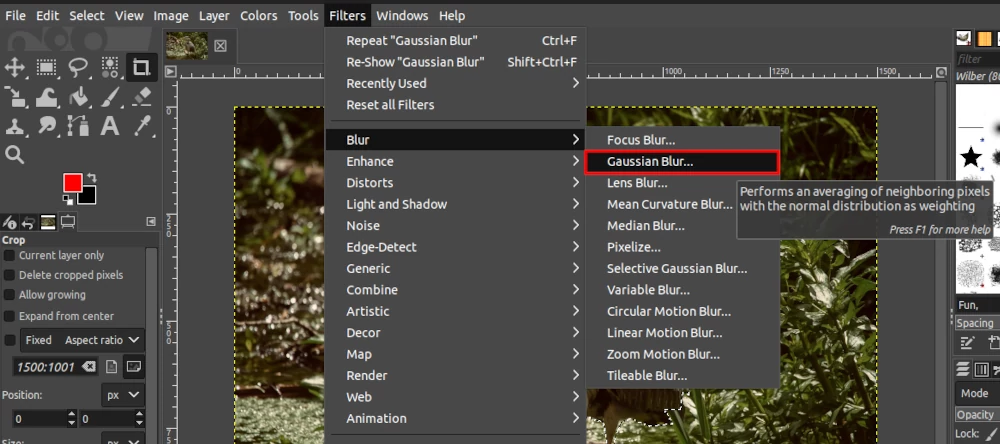 Applying a Blur filter to an image in GIMP