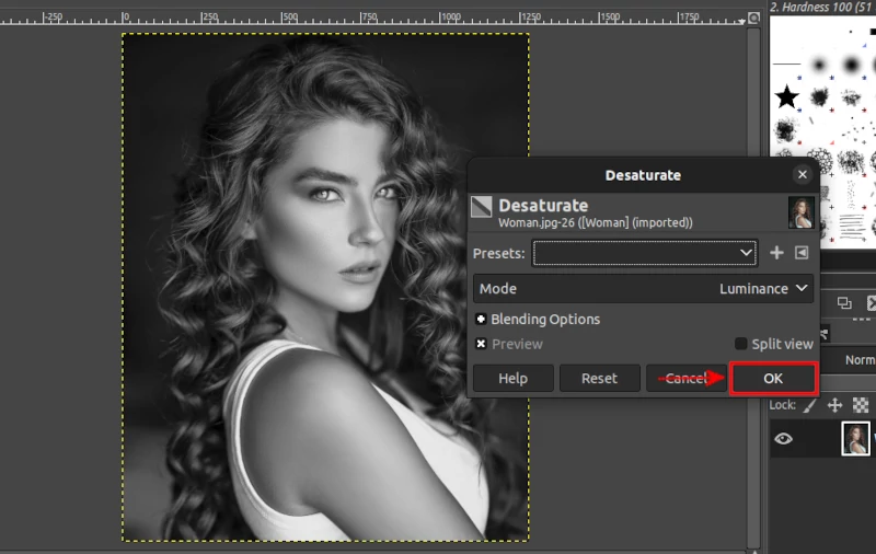 Applying luminance desaturation mode in GIMP