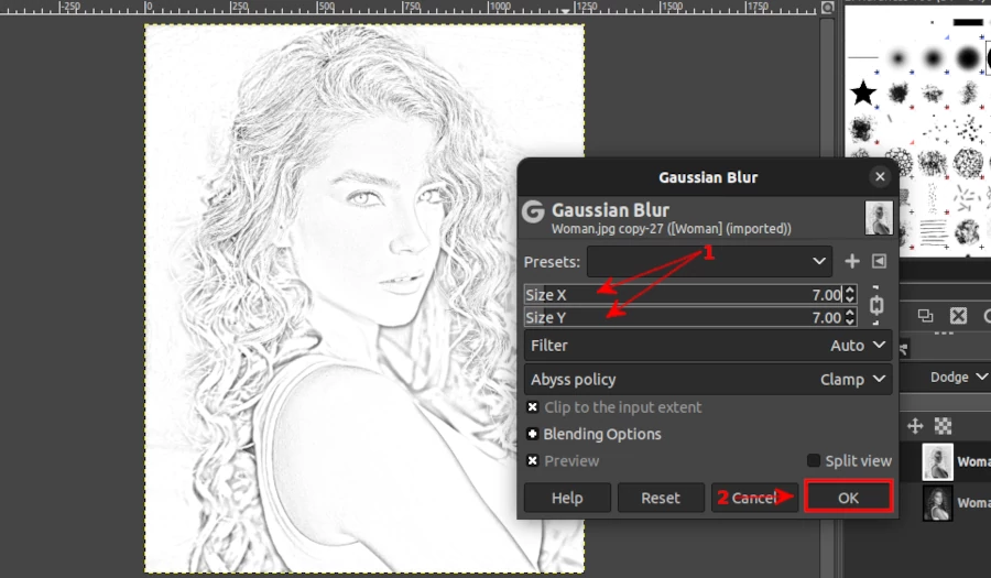 Appying Gaussian blur for pencil sketching in GIMP
