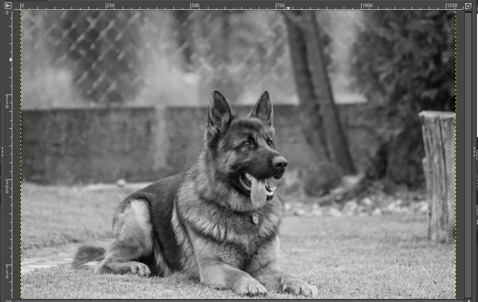 Black & white grayscale image in GIMP