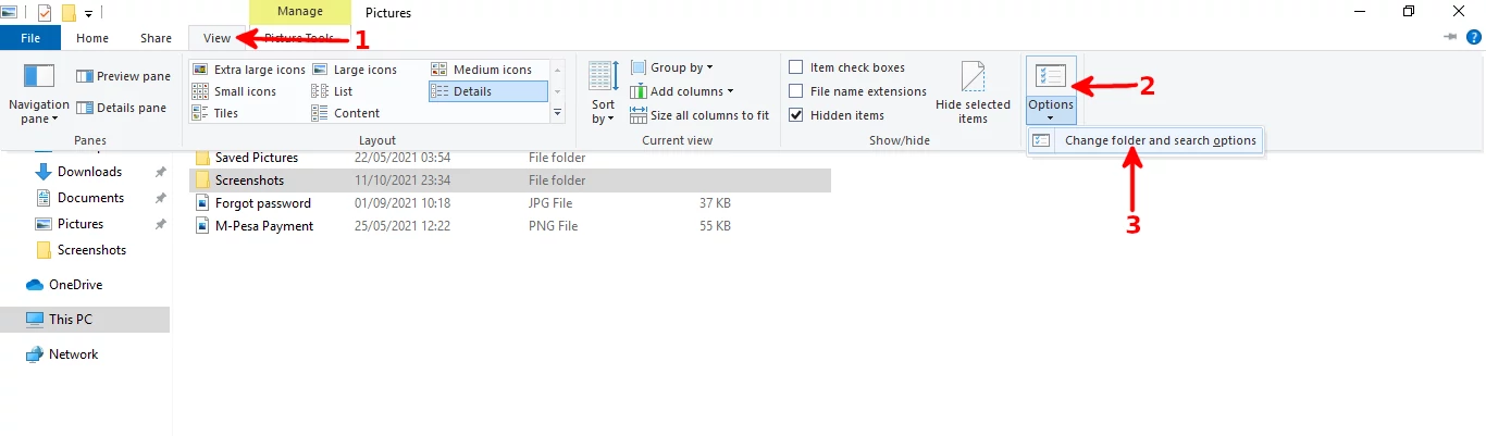 Changing folder and search options in File Explorer