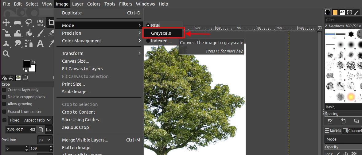 Converting an image mode to grayscale in GIMP