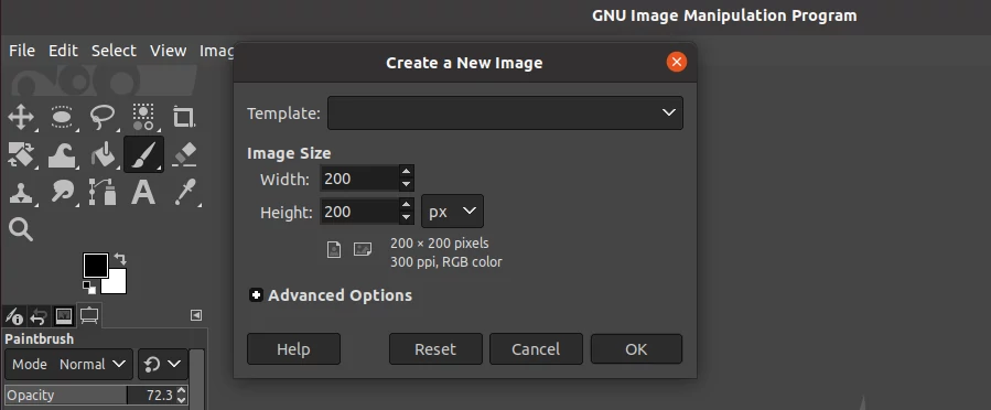 Creating a new image for animated brush in GIMP