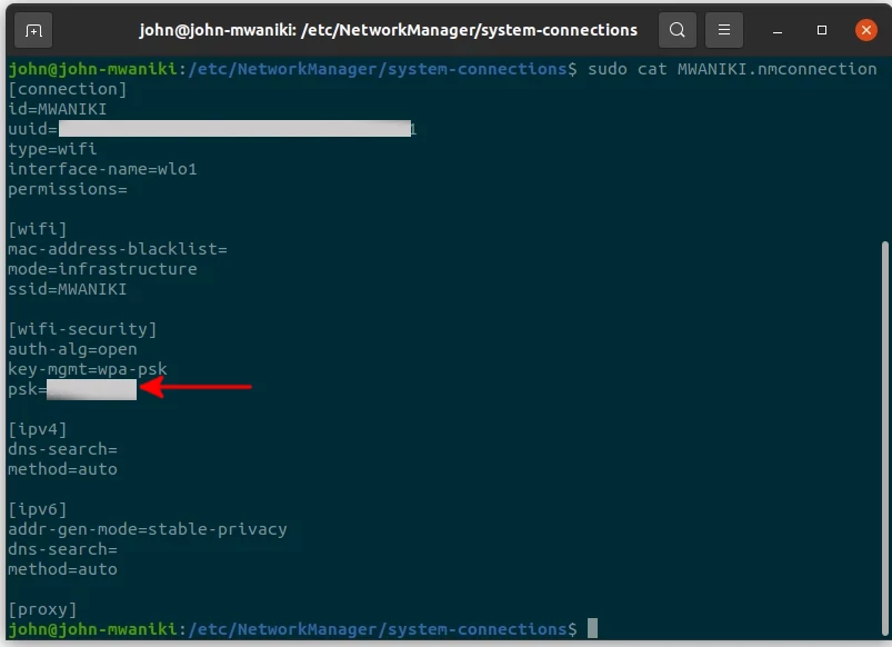 Details about a saved network in Ubuntu terminal