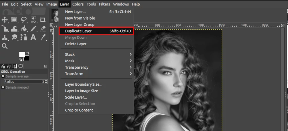 Duplicating an image layer in GIMP