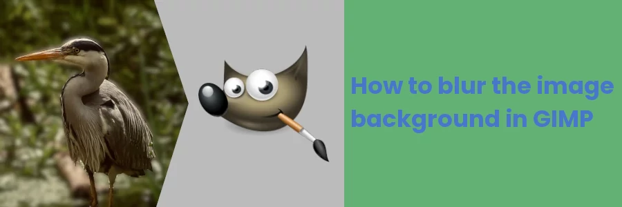 How to blur the image background in GIMP