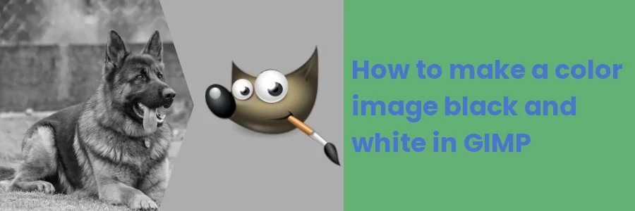 How to make a color image black and white in GIMP