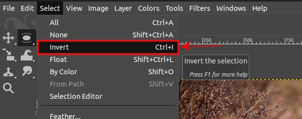 Inverting a circular selection on an image in GIMP