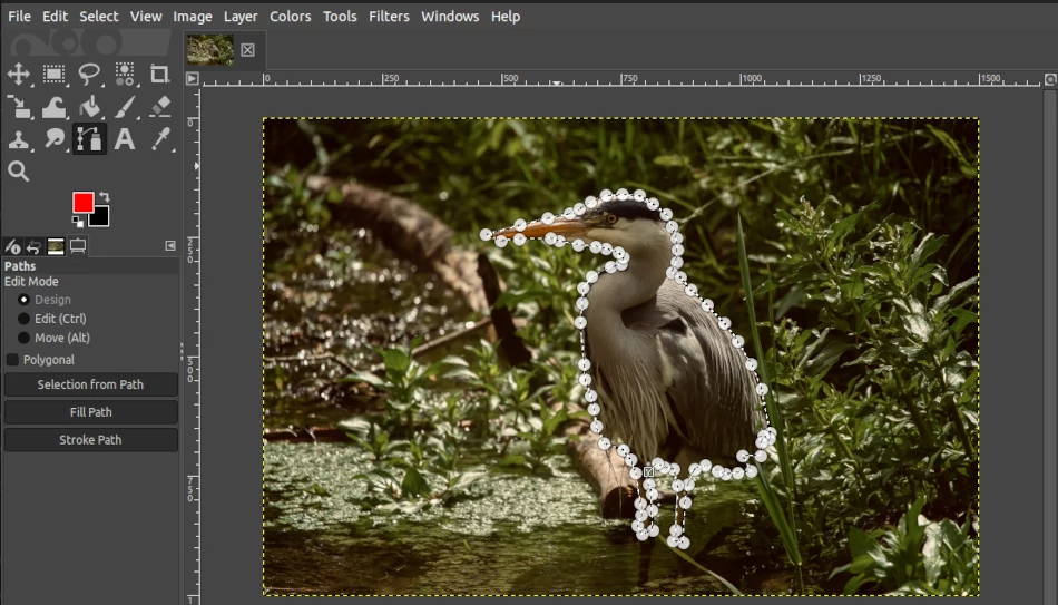 Making a selection around an image subject in GIMP