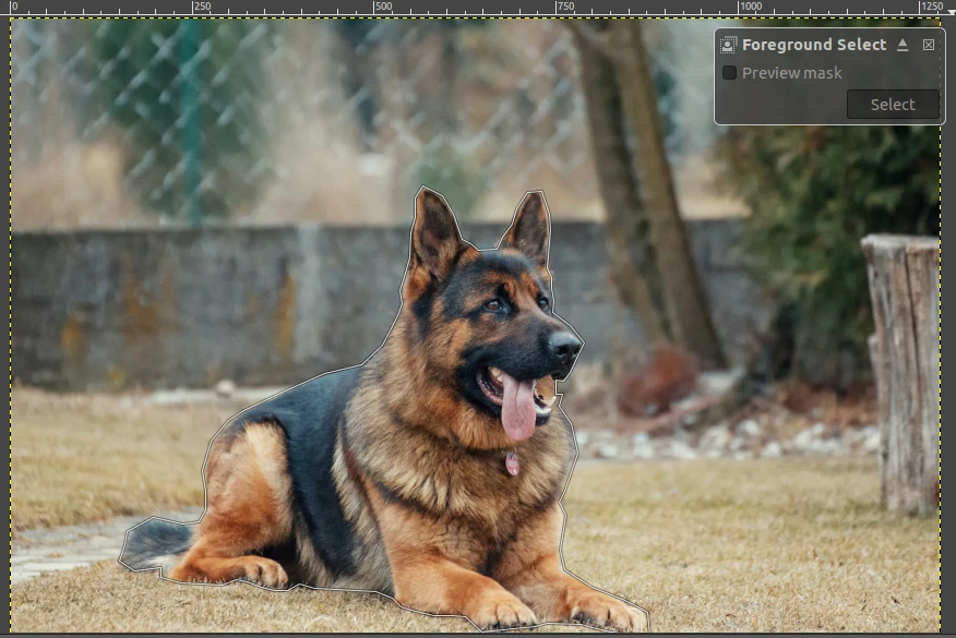 Making a selection with foreground select tool in GIMP