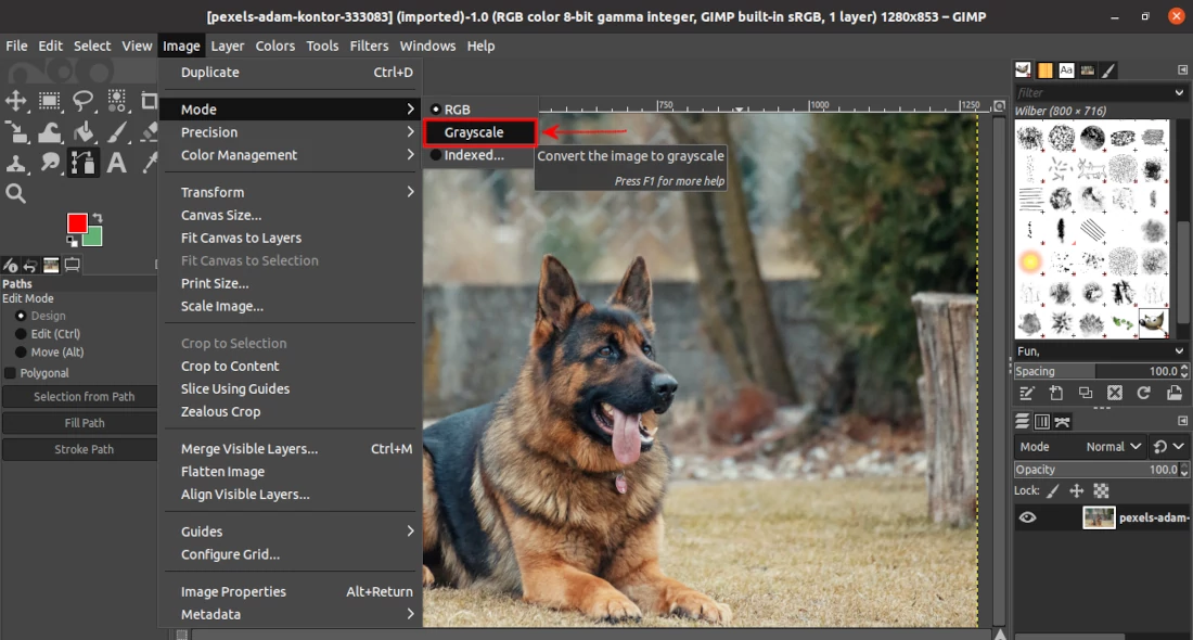 Making image black & white by changing mode to grayscale in GIMP