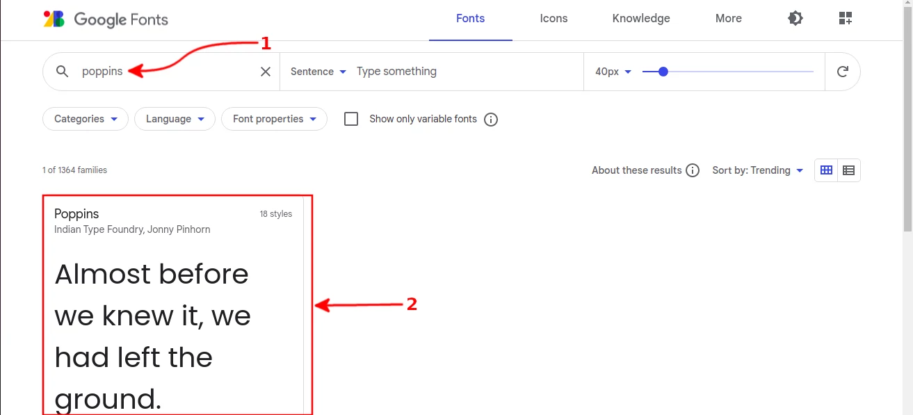 Searching a font on Google Fonts