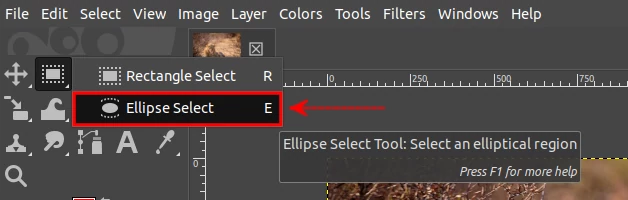 Selecting the ellipse select tool on GIMP