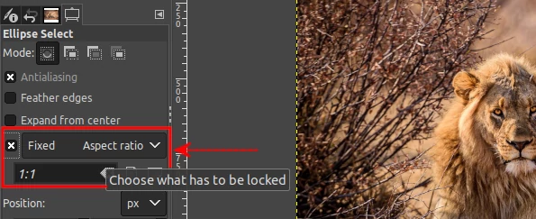 Setting ellipse select tool aspect ratio in GIMP